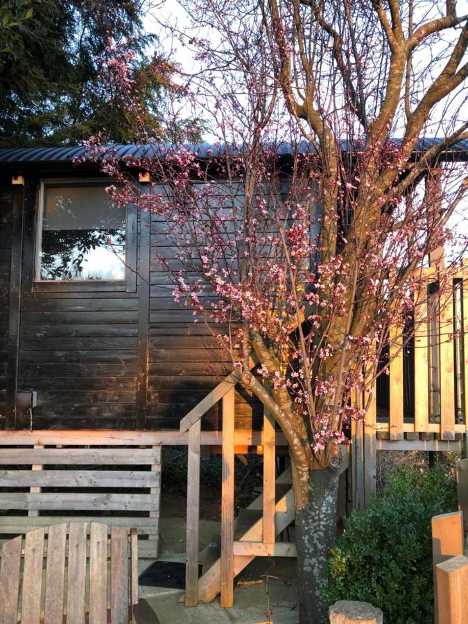 The Cherry Tree Gypsy Wagon Банбери Экстерьер фото